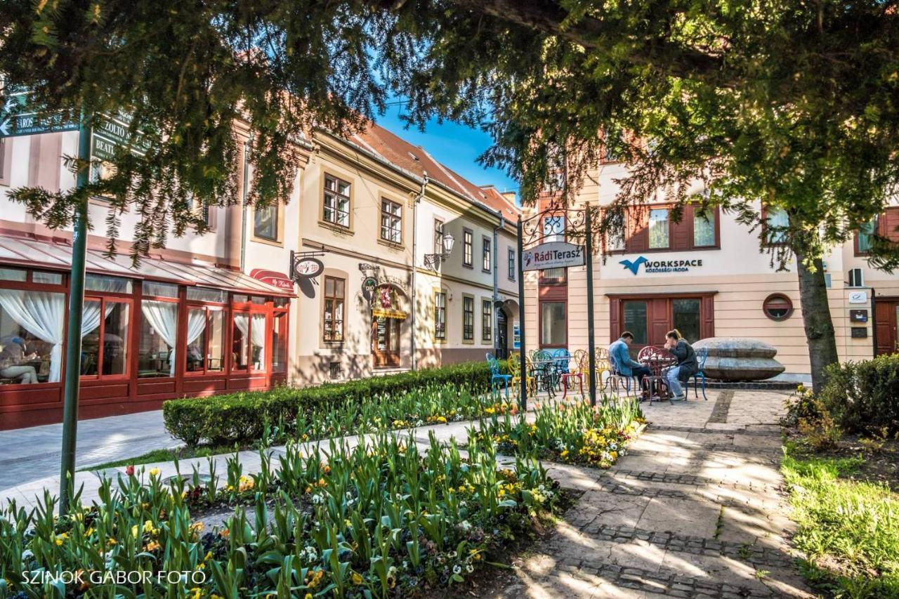 Albina Apartman Эгер Экстерьер фото